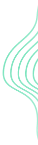 Section decorative background
