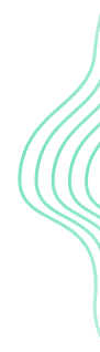 Section decorative background