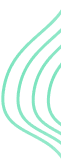 Section decorative background